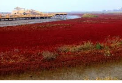 Panjin City - Photo 3