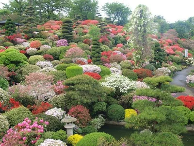 Sukagawa - Photo 4