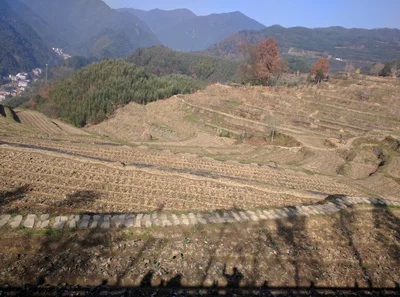Lin'an District - Photo 4