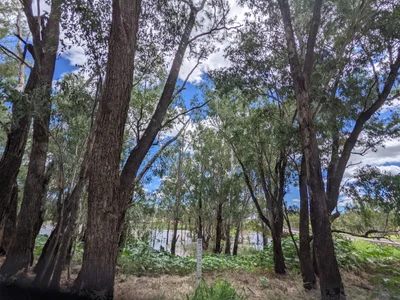 Condamine - Photo 4