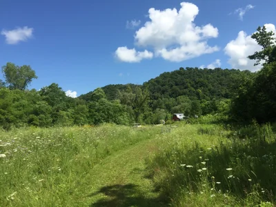 Jefferson - Photo 3
