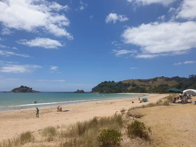 Te Ngaere - Photo 2