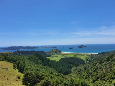 Te Ngaere - Photo 3