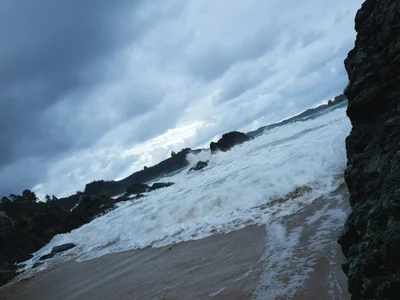 Te Ngaere - Photo 4
