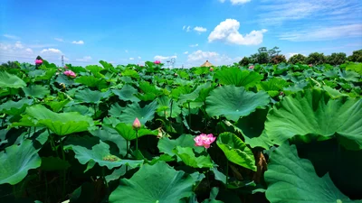 Wuchuan - Photo 2