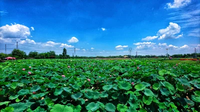 Wuchuan - Photo 3