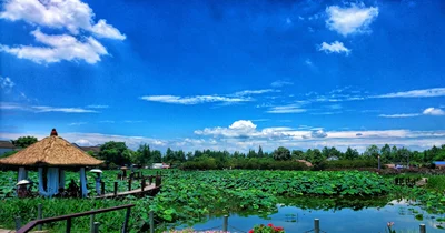 Wuchuan - Photo 4