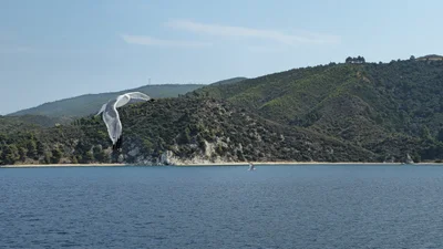 Mt. Athos Peninsula - Photo 5