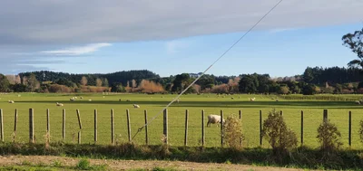 Bulls - Photo 5