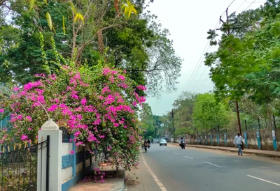 Siuri - Photo 4