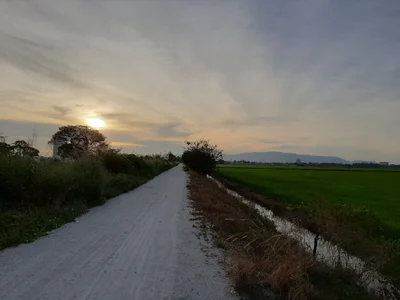 Seberang Perai District - Photo 3