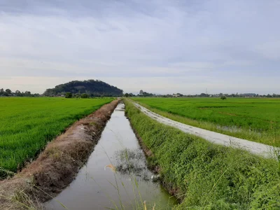 Seberang Perai District - Photo 4