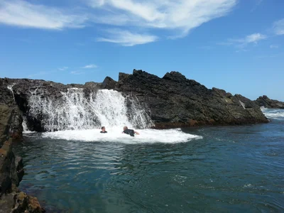 Brooms Head - Photo 5