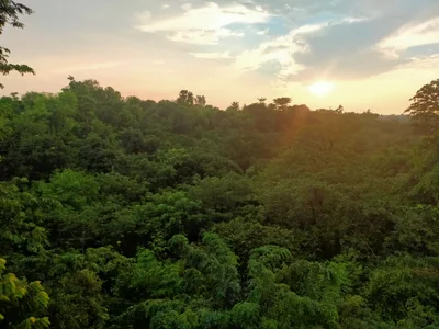 Nurpur - Photo 3