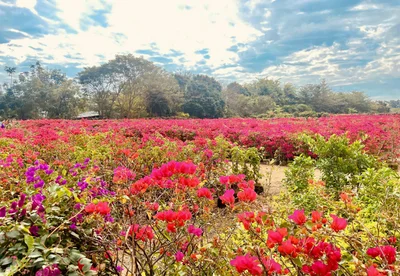 Dongfang City - Photo 4