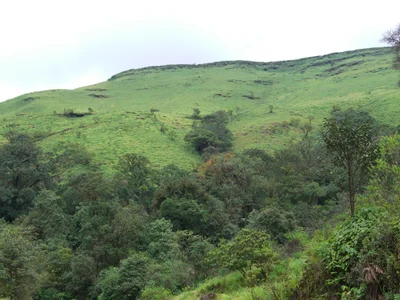 Kemmannagundi - Photo 2