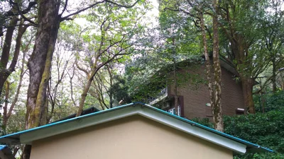 Kemmannagundi - Photo 4