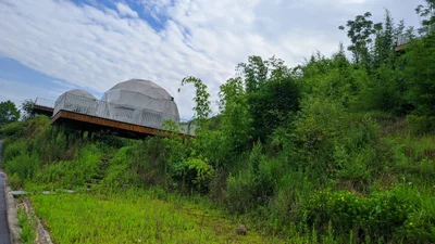 Qianwei County - Photo 2