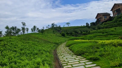 Qianwei County - Photo 3