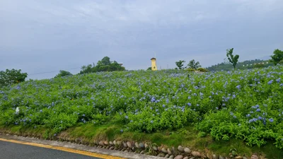 Qianwei County - Photo 4