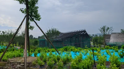 Qianwei County - Photo 5