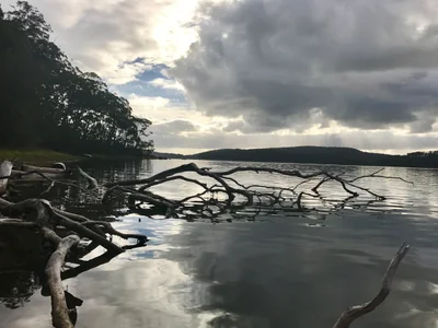 Smiths Lake - Photo 2