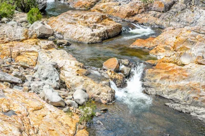 Alligator Creek - Photo 2