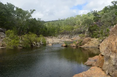 Alligator Creek - Photo 3