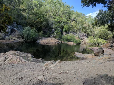 Alligator Creek - Photo 4