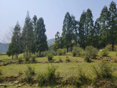 Luoyuan County - Photo 2