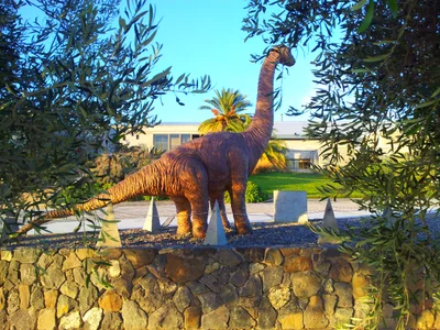 San Patricio del Chanar - Photo 5