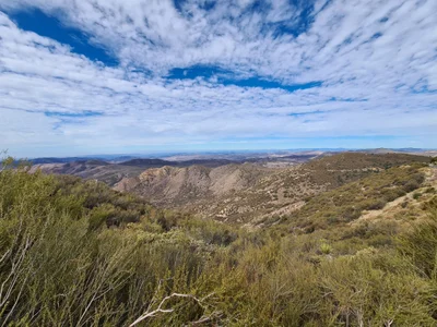 Valley of the Giants Valle de los Gigantos - Photo 2