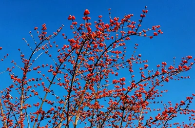 Shuozhou - Photo 4