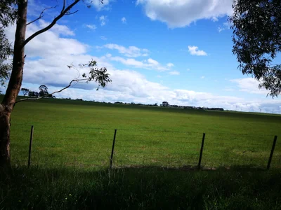 Birregurra - Photo 3