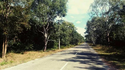 Bung Rieng - Photo 5