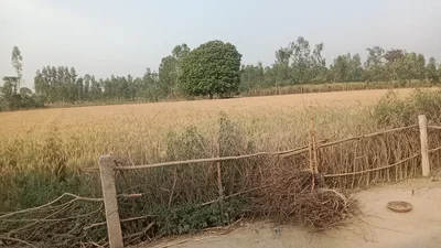 Sitapur - Photo 5