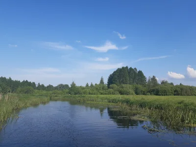 Bialowieza - Photo 2