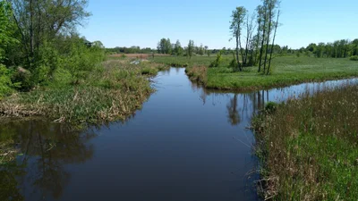Bialowieza - Photo 4