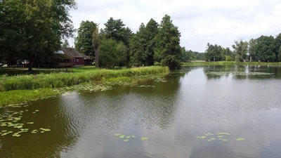 Bialowieza - Photo 5