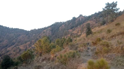 Kangar Dharyar - Photo 2