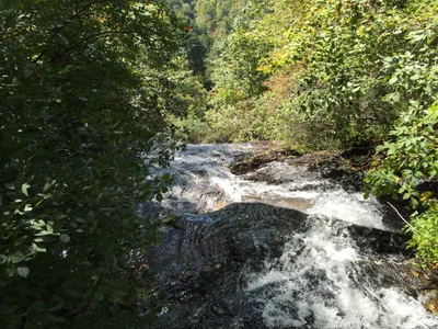 Dawsonville - Photo 5