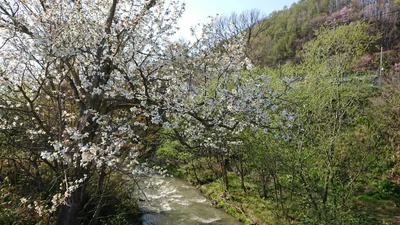 Kamisunagawa - Photo 3