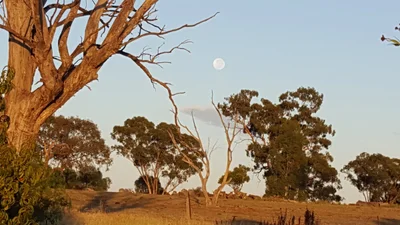 Bethungra - Photo 3