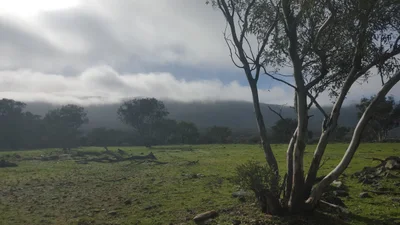 Bethungra - Photo 4