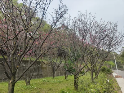 Huilai County - Photo 2