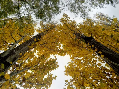 Lincoln - Photo 2