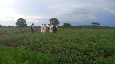 Ngaoundere - Photo 2