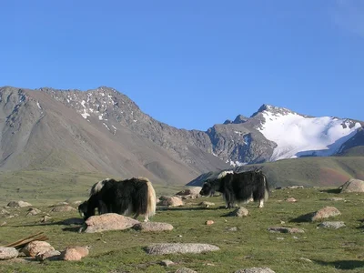 Ulaangom - Photo 2