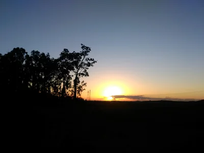 Brendale - Photo 5