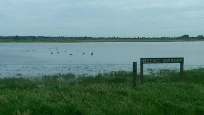 Beeac - Photo 2